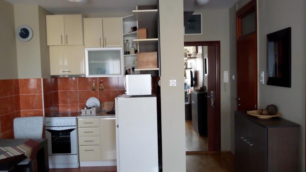 Naissa Apartment Nis Bagian luar foto